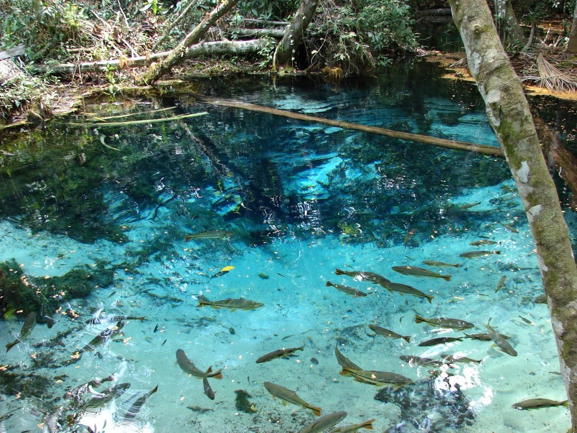 Aquario Encantado ( foto fonte https://www.dayusemt.com.br/produto/nobres-3-aquario-encantado-e-mirante-do-cerrado-full-day-140km/)