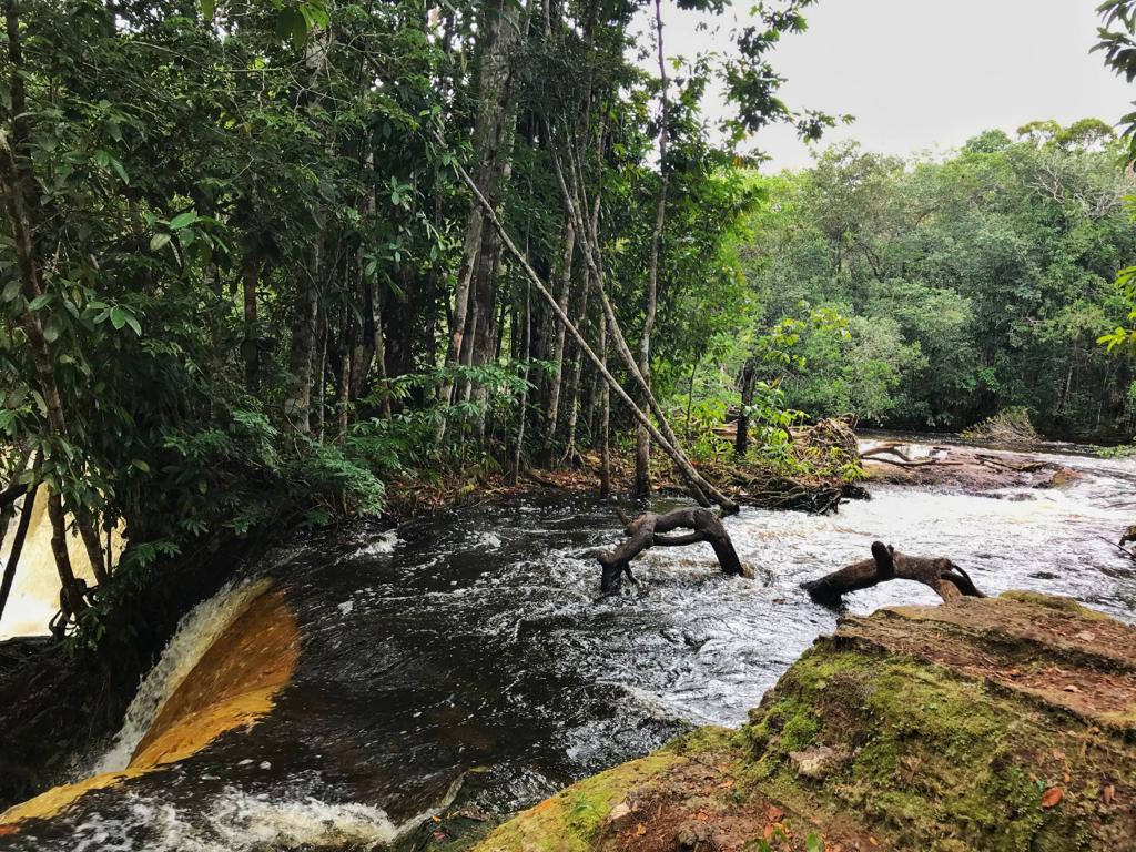 Ecoturismo é considerado tendência pós-pandemia