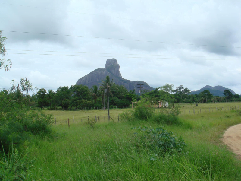 Parque Nacional Monte Pascoal BA (Foto fonte: http://www.thousandwonders.net/)