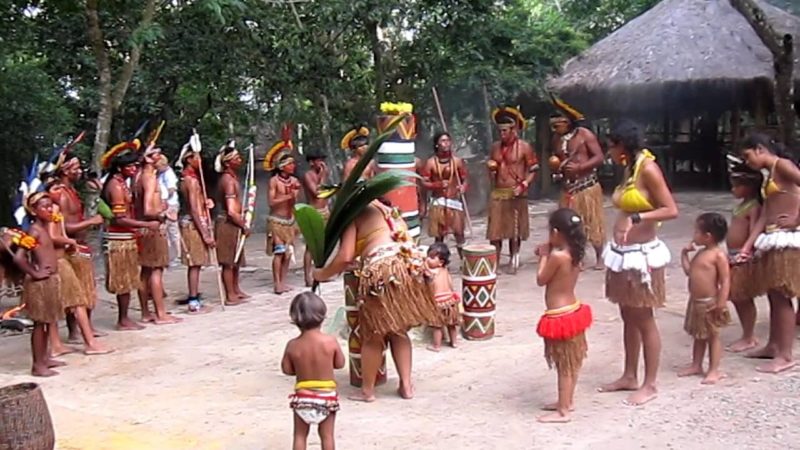 Reserva Indígena da Jaqueira Porto Seguro BA (fotofonte http://www.portosegurotur.com/)