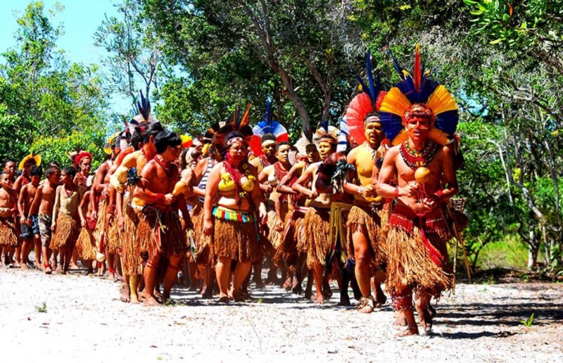 Reserva Indígena da Jaqueira Porto Seguro BA (fotofonte http://www.portosegurotur.com/)