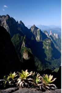 Parque Nacional da Serra dos Órgãos RJ (Foto: http://www.icmbio.gov.br/parnaserradosorgaos/galeria-imagens/category/1-paisagens.html)