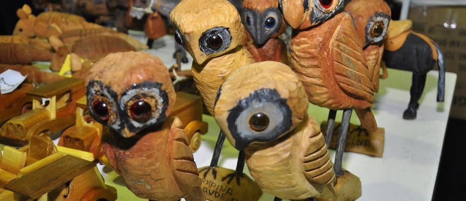 Feneart 2017 (foto fonte http://www.fenearte.com/revista/guia/salao-de-arte-popular-ana-holanda)