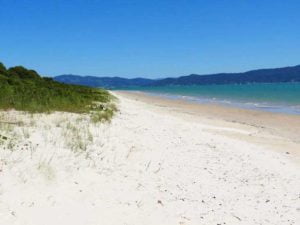 Praia de Daniela Florianópolis SC (Foto: http://pousadadosartistas.com.br/)