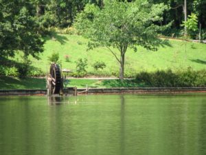 Parque Malwee Jaraguá do Sul SC ( fonte fonte http://www.baixaki.com.br/papel-de-parede/37051-parque-malwee-jaragua-do-sul.htm)