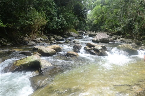 Cachoeiras de Paraty (foto http://www.paraty.com.br/cachoeira_taquari.asp) Cachoeiras de Paraty (foto http://www.paraty.com.br/cachoeira_taquari.asp)