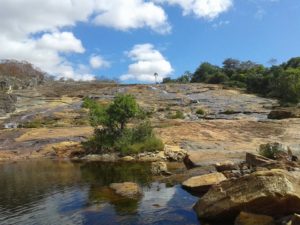 Parque Nacional das Sempre-Vivas (foto https://olhandodajaneladotrem.blogspot.com)