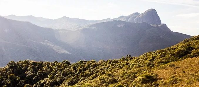 Parque Estadual Serra do Papagaio (foto https://www.jardimdomundo.com)