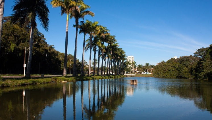 Jaboticabal é conhecida como a cidade das rosas e diversidade de cultura