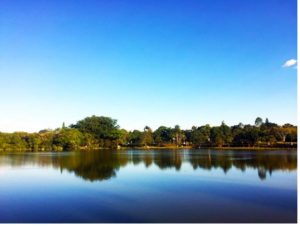 Jaguariúna (foto //www.rangoetrago.com.br/jaguariuna-sao-paulo/)