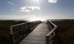 Cidreira (foto https://college.canon.com.br/concursos/fotos/47648)