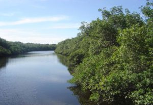 Parque Florestal Rio da Onça (foto https://www.sescpr.com.br/caioba/guia-turistico/atrativos-ecologicos/parque-florestal-rio-da-onca/)