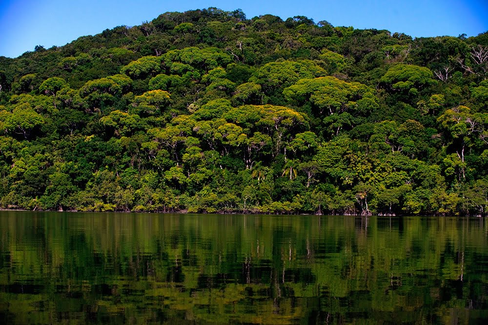Conheça o Parque Nacional do Superagui, em Guaraqueçaba