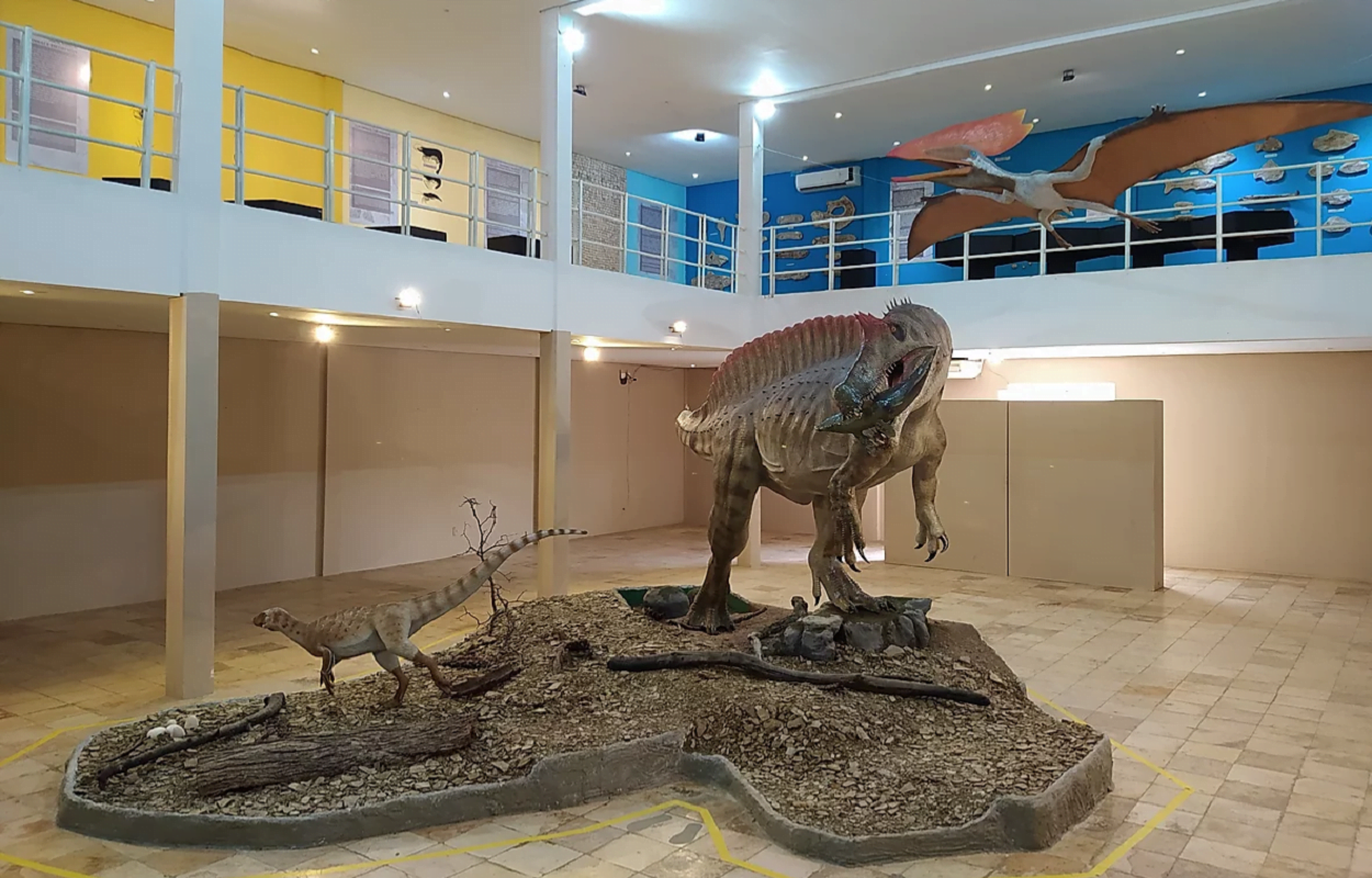 Santana do Cariri, cidade de grande importância na paleontologia