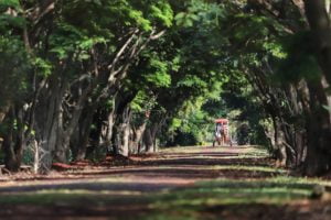 Itaipulândia (foto http://www.viajeparana.com/Itaipulandia)
