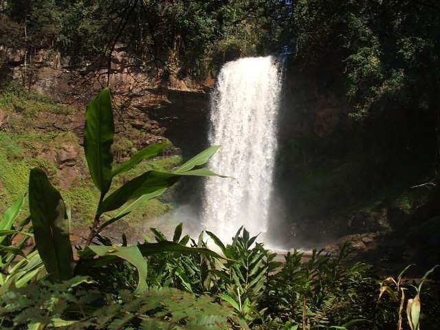 Luiziana (foto https//luiziana.pr.gov.br/