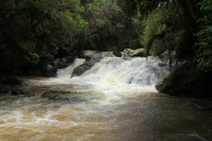 Mandirituba - Cachoeira de Espigão das Antas (foto http://www.viajeparana.com/Mandirituba)