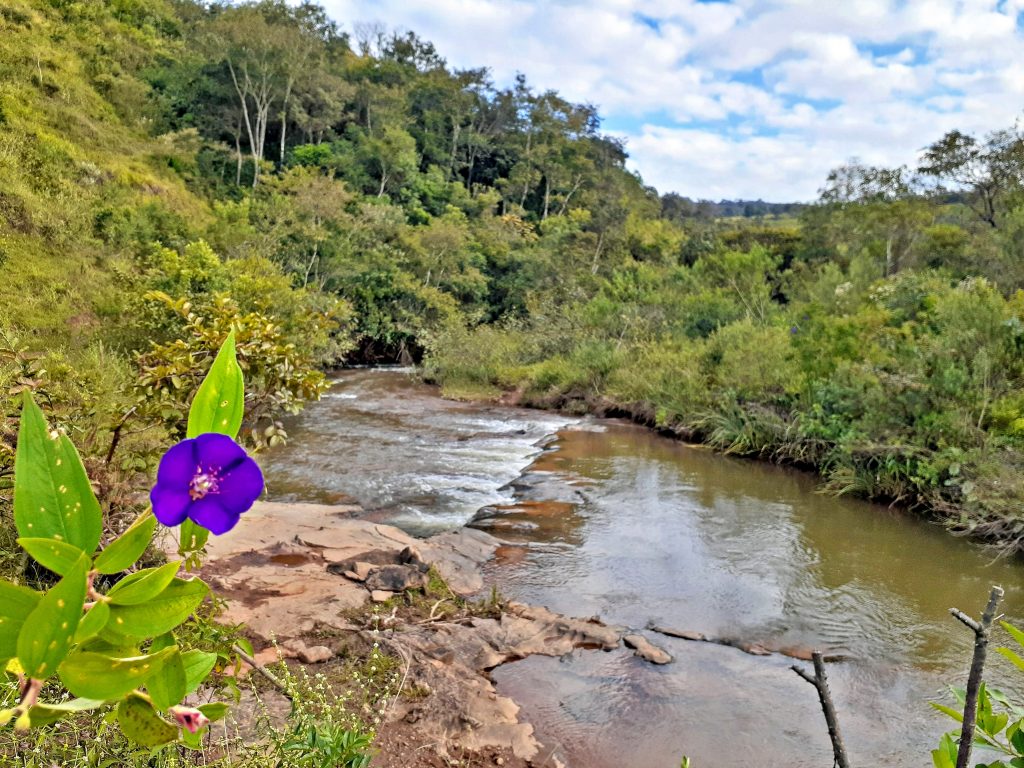 Rio das Velhas (foto: https://pt.m.wikipedia.org/wiki/Ficheiro:Rio_das ...