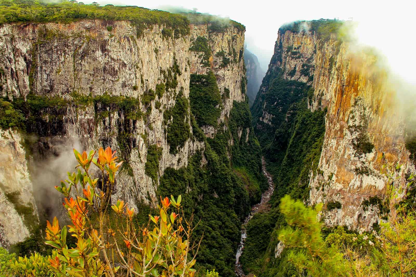 Parque Nacional de Aparados da Serra: aventura no estado gaúcho