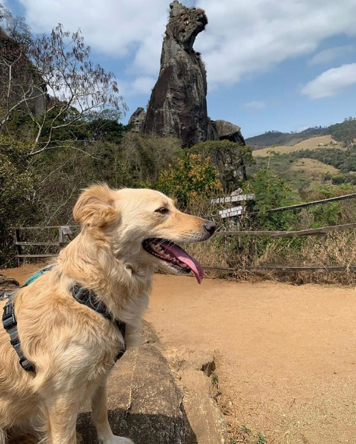 Pedra do Cão Sentado 