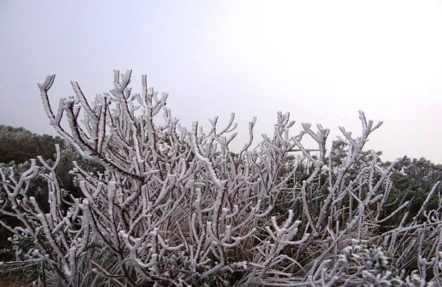 Turismo de inverno (imagem: Governo do Estado de Santa Catarina)