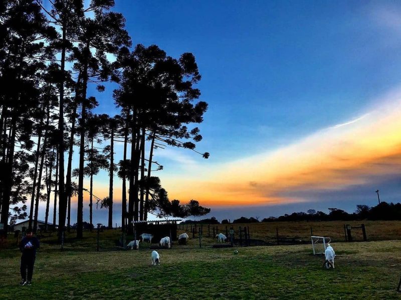 Colônia Witmarsum, pequeno vilarejo alemão no Paraná