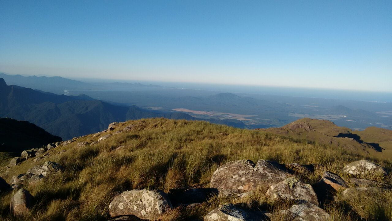 Campo Alegre, capital catarinense da ovelha