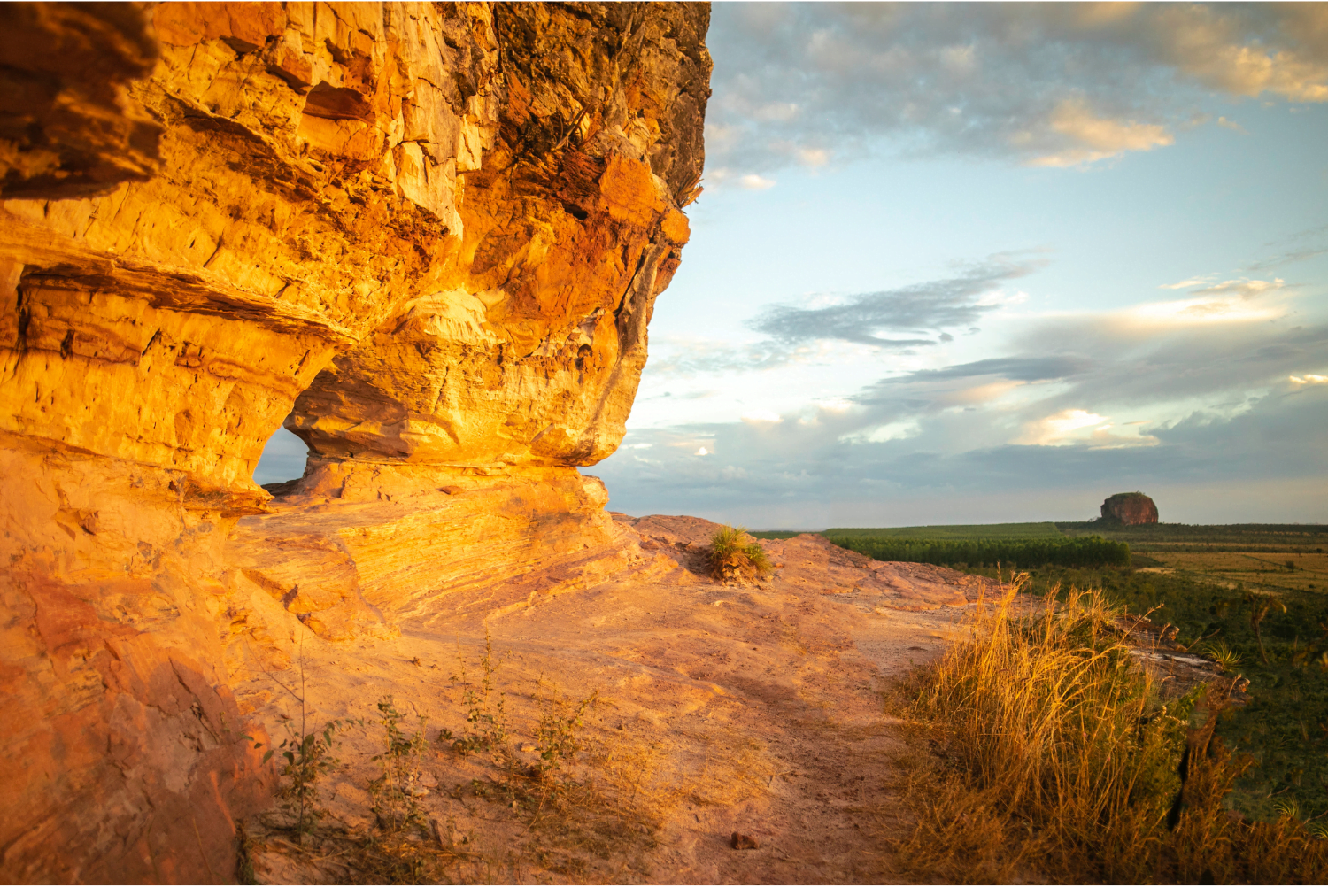 Jalapão (imagem: FG Trade - Getty Images via Canva)