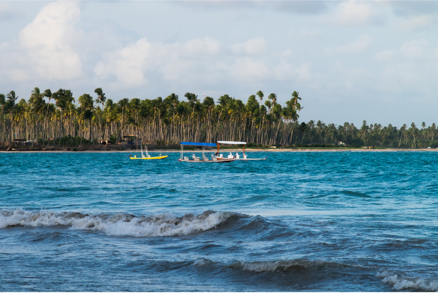 Praias do Nordeste (imagem: Canva)