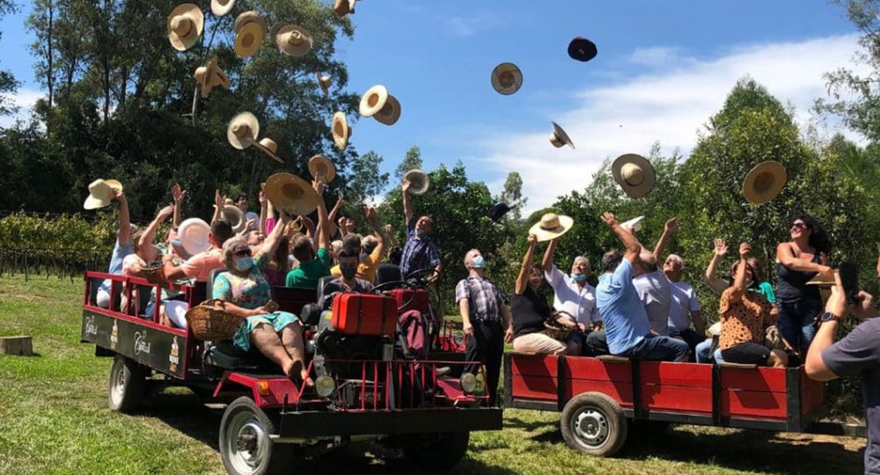 Vindima 2023 Vinícola Cainelli / Divulgação