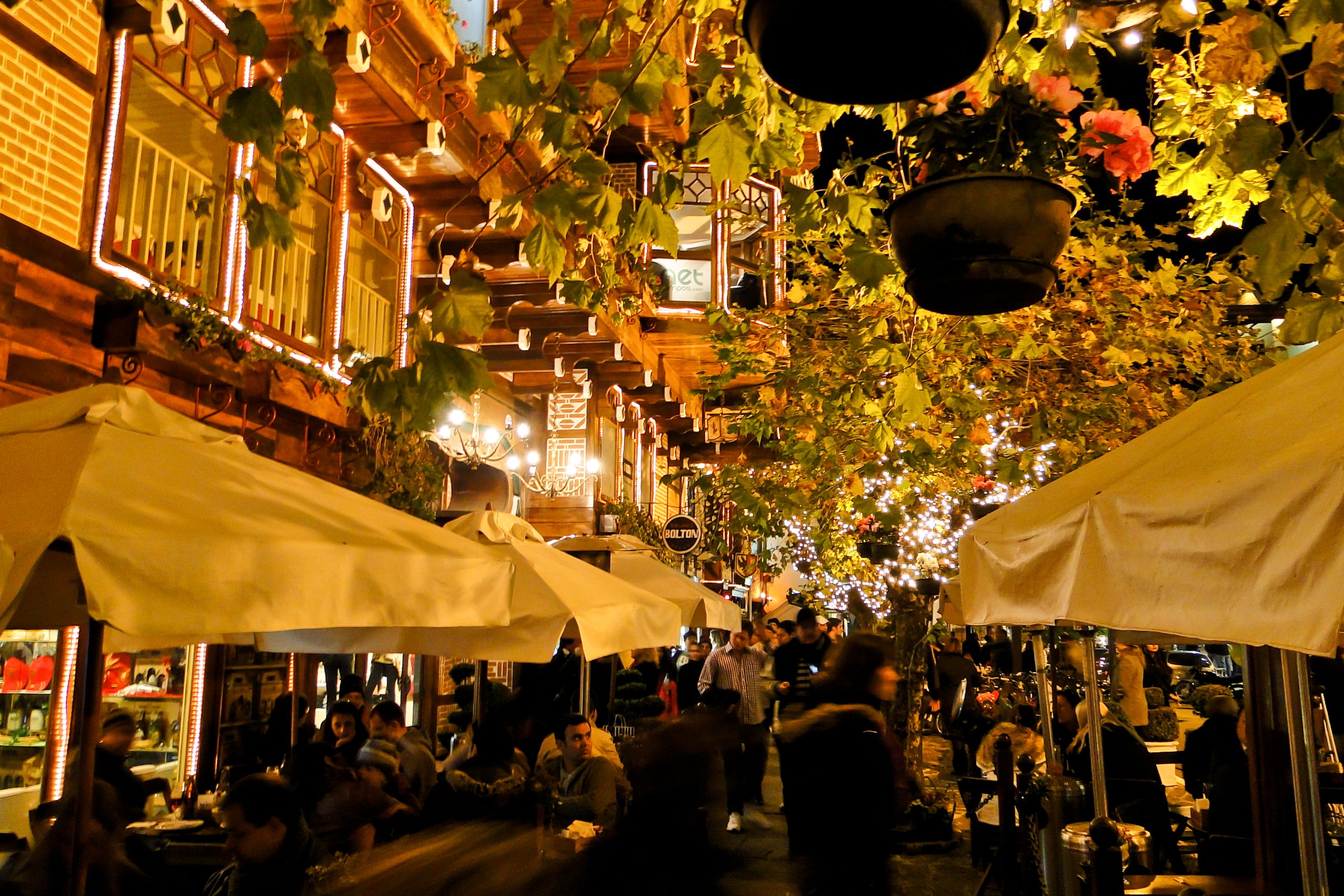 Campos do Jordão (imagem: Deni Williams - Wikimedia Commons)