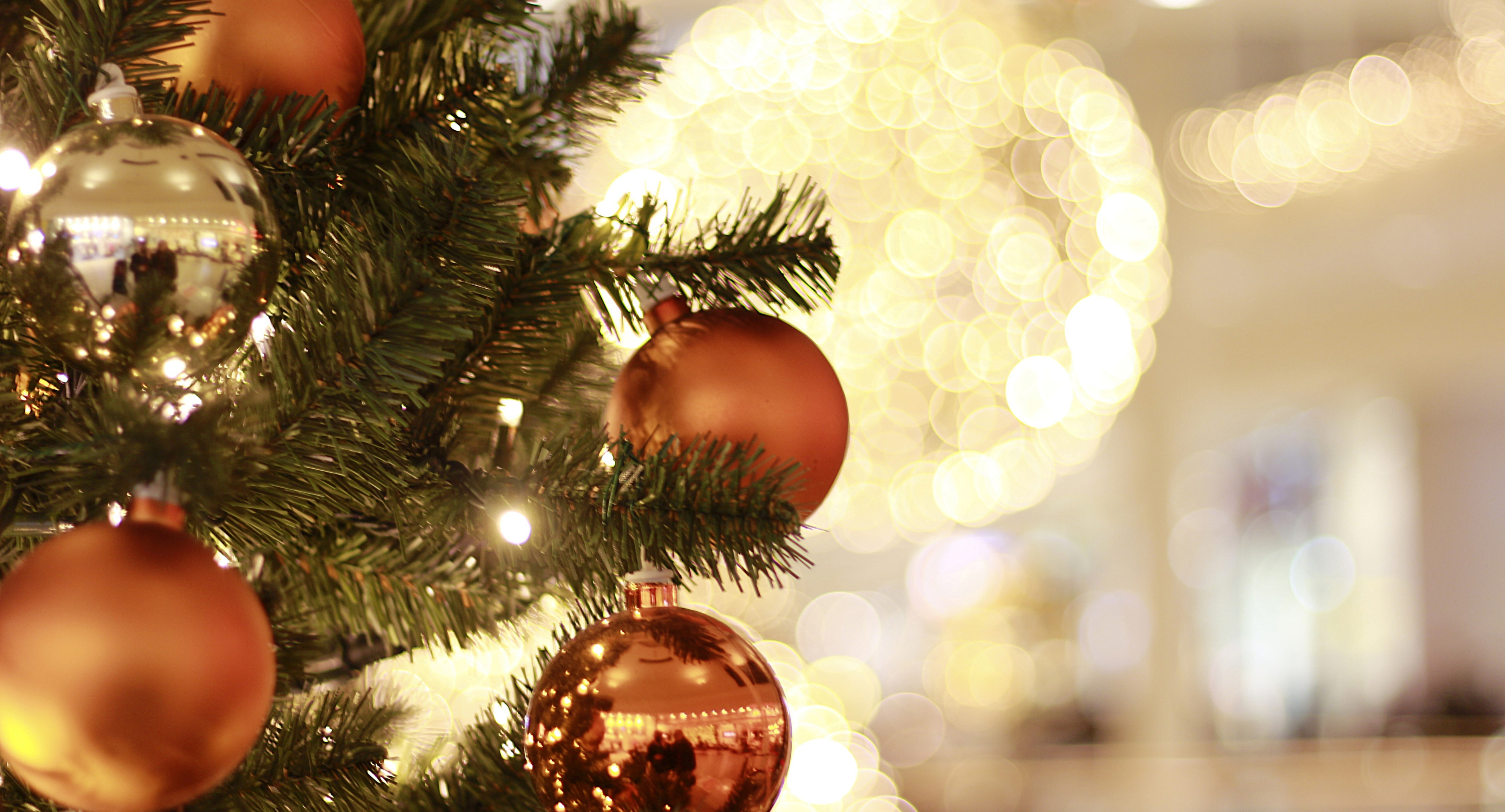 Natal Mágico de Guabiruba 2022