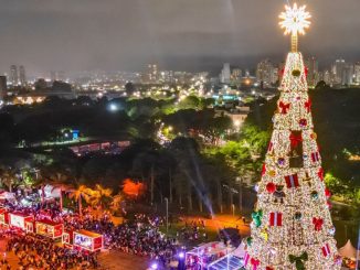 Árvore de Natal de São Paulo no Parque Villa-Lobos — Foto: Divulgação/Prefeitura SP