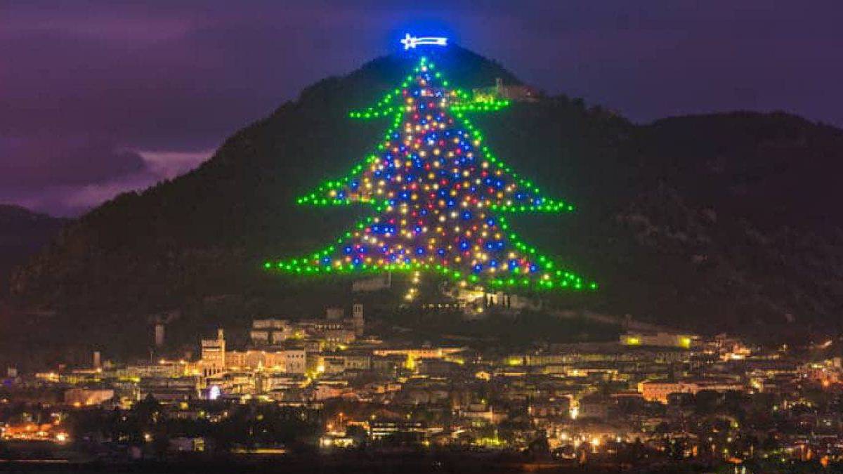 Maior árvore de natal do mundo (imagem: Reprodução/Italianismo)