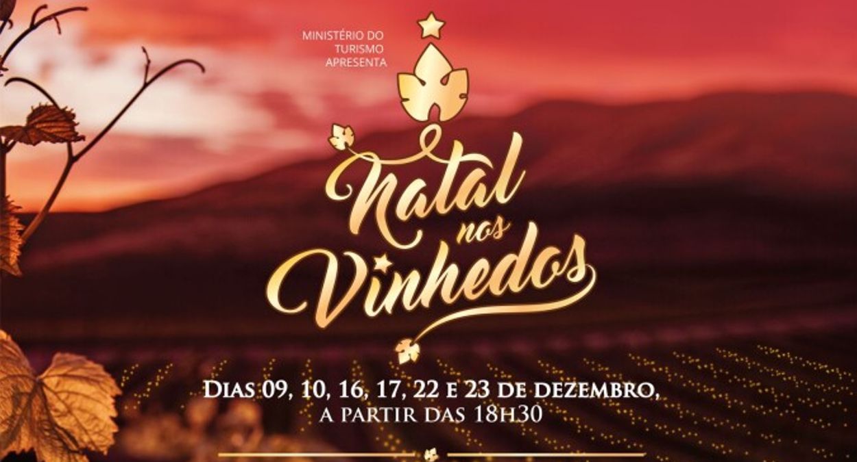 Natal nos Vinhedos 2022 (imagem: Divulgação)