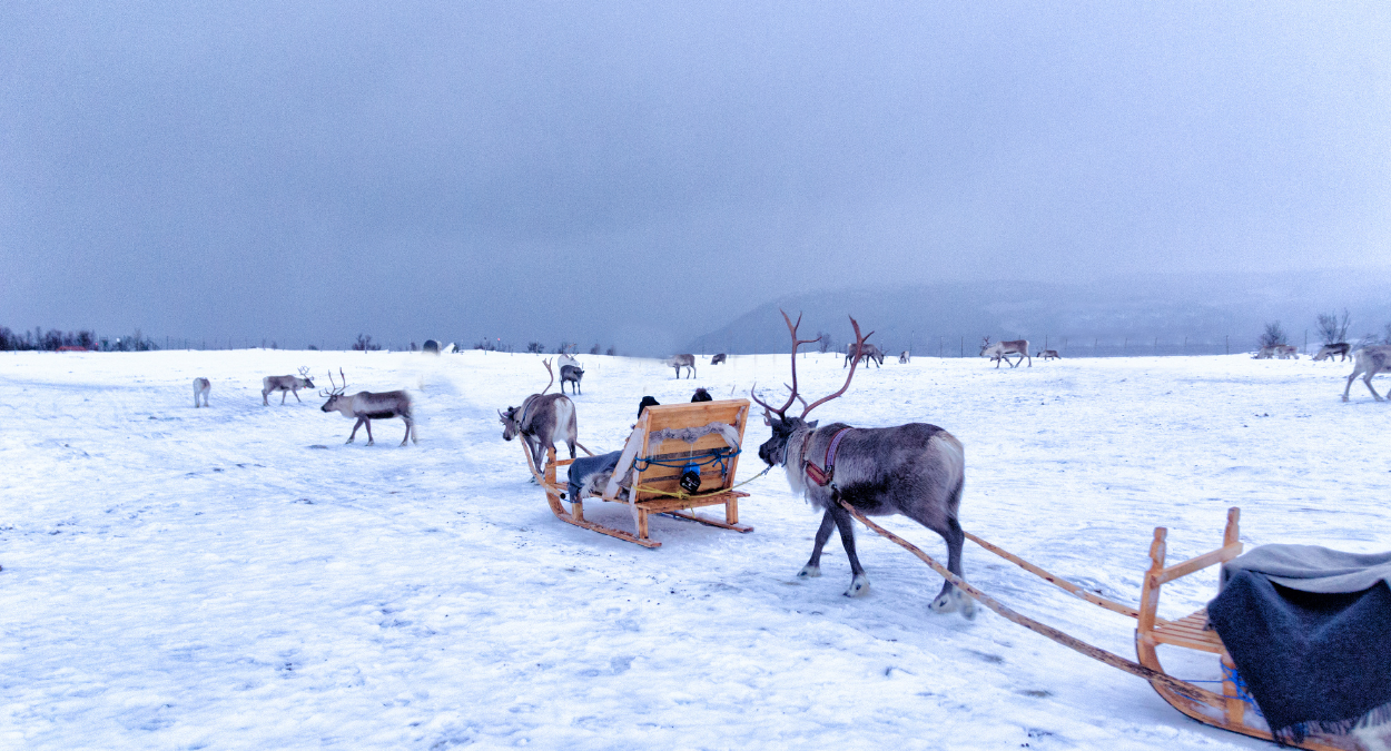 Uber trenó na Finlândia (imagem Ilustrativa - Canva)