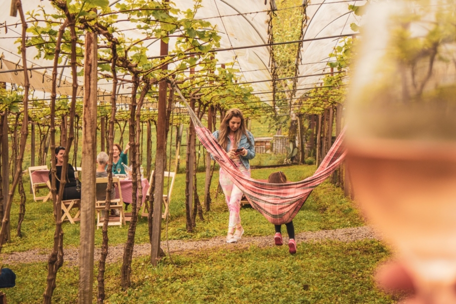 Vindima 2023 nas Videiras Carraro (imagem: Divulgação)