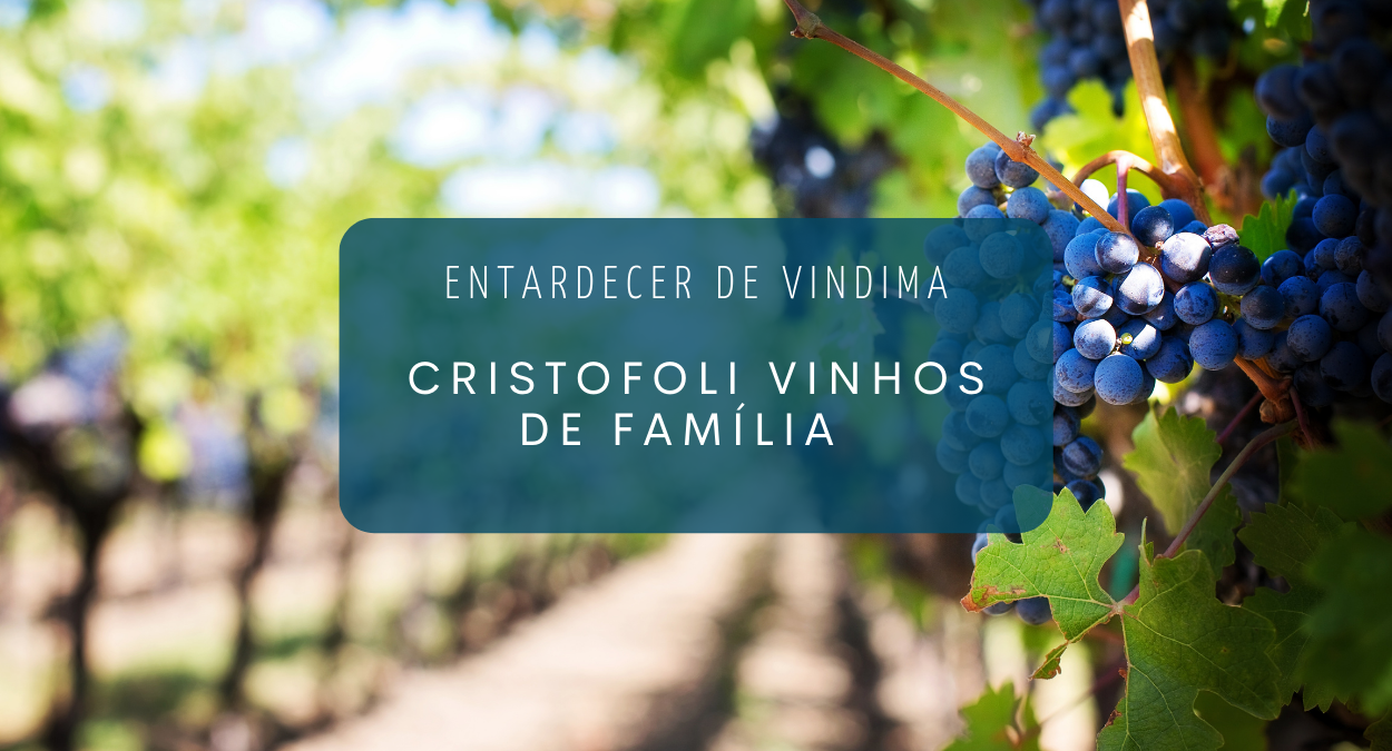 Entardecer de Vindima 2023, Cristofoli Vinhos de Família (imagem: Canva)