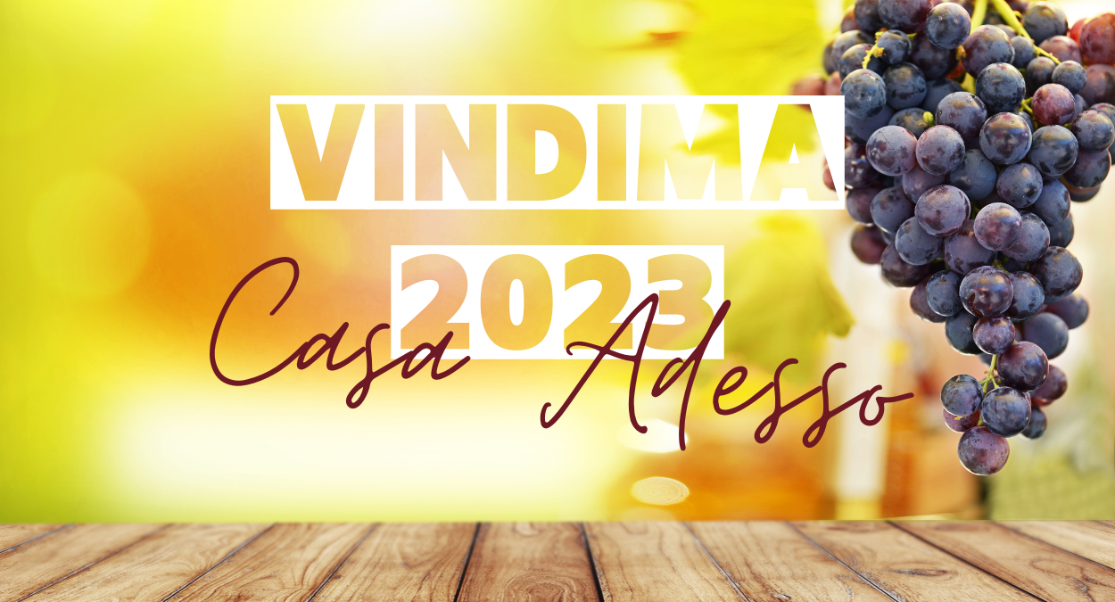 Antica Vindima da Casa Adesso, confira (imagem: Canva)