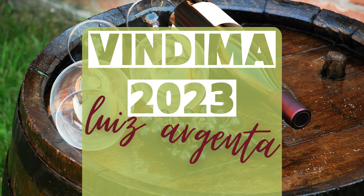 Vindima 2023 - Vinícola Luiz Argenta, confira (imagem: Canva)