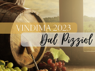 Vindima 2023 - Vinícola Dal Pizzol (imagem: Canva)