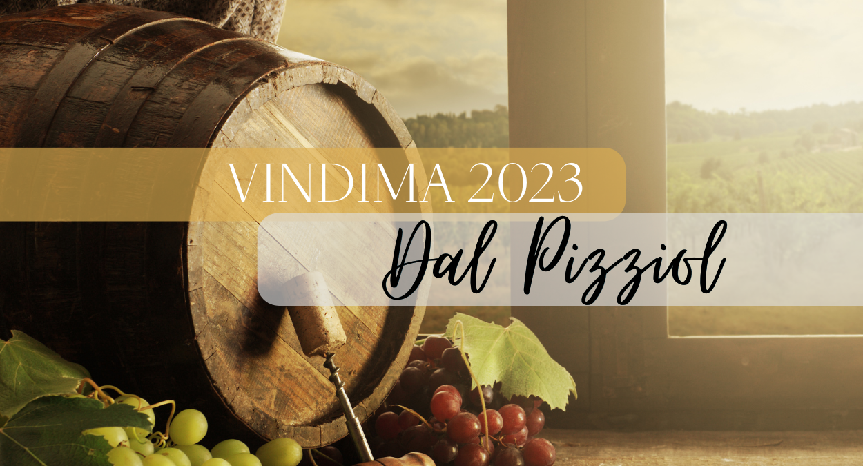 Vindima 2023 - Vinícola Dal Pizzol (imagem: Canva)