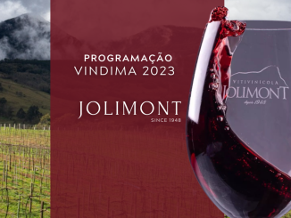 Vindima 2023 na Vinícola Jolimont (Instagram: @jolimontvinicola)