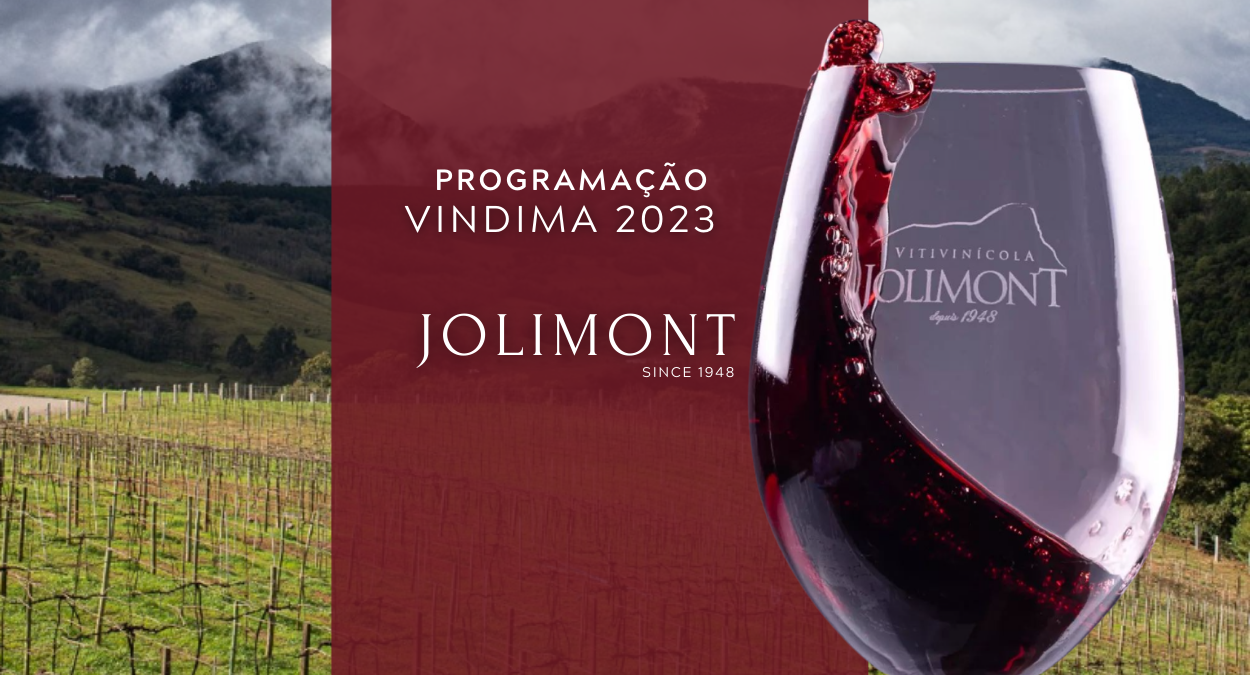 Vindima 2023 na Vinícola Jolimont (Instagram: @jolimontvinicola)