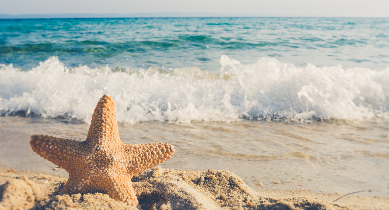 Veja a programação do Carnaval 2023 em Iriri, no Espírito Santo (imagem: Canva)