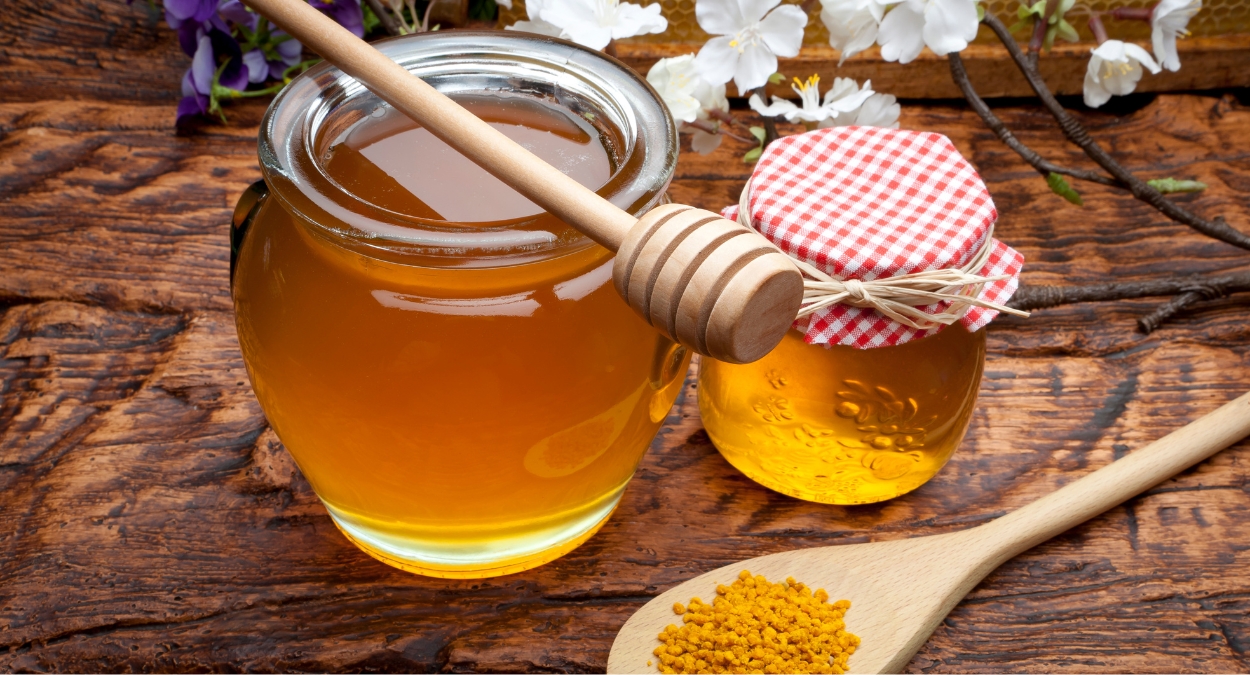 Festimel 2023: veja a programação artística (imagem: Canva)