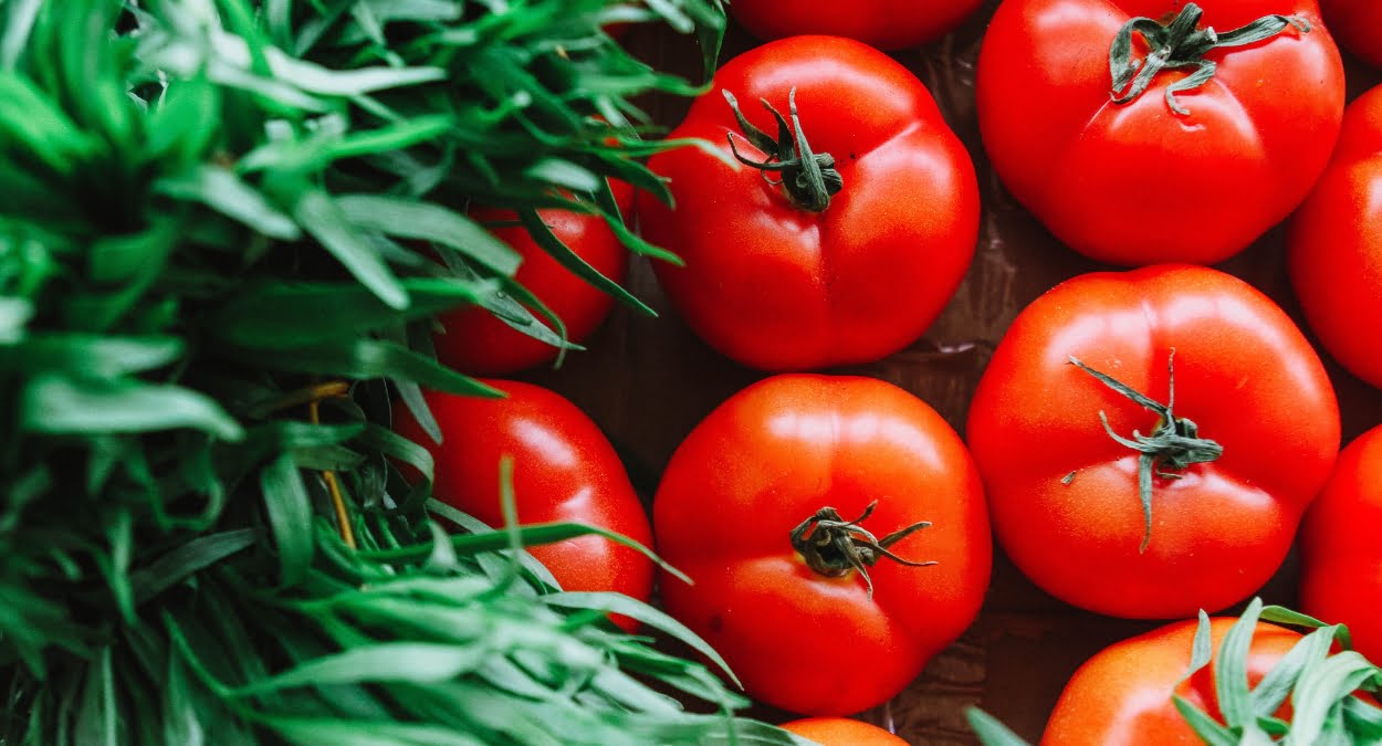 Festa do Tomate 2023 em Paty do Alferes: veja a programação! (imagem: Canva)