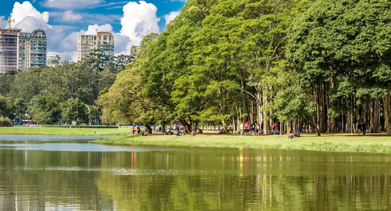 5 curiosidades sobre São Paulo que você não sabia - Parte 2 (imagem: Canva)