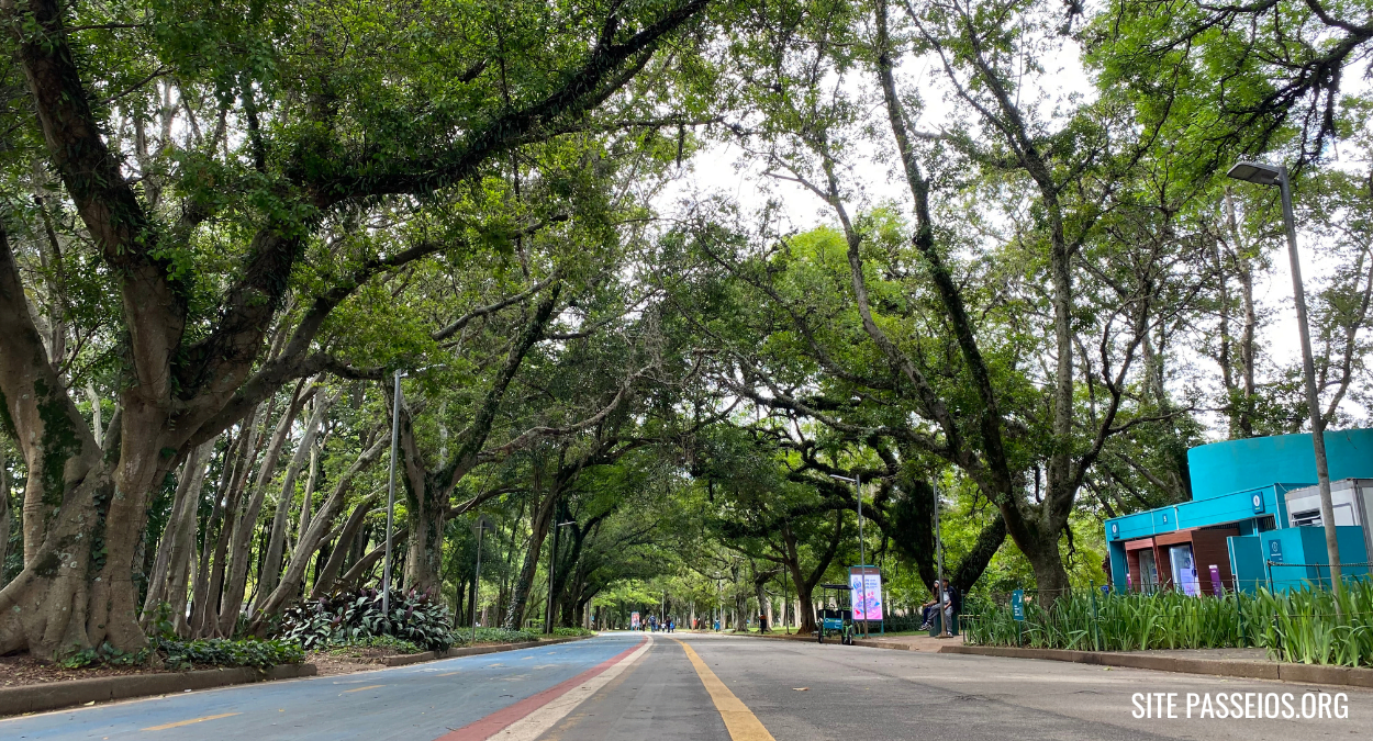 Parque Ibirapuera