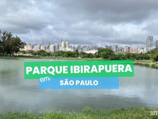 Parque Ibirapuera agora tem carrinhos elétricos, confira!